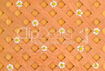 wood background, decorative grille and white daisies