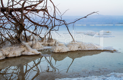 Beautiful coast of the Dead Sea .