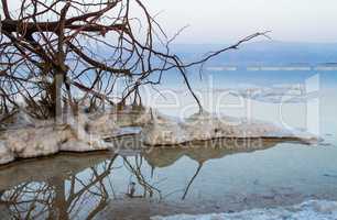 Beautiful coast of the Dead Sea .