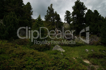 Landschaft an der Nockalmstrasse, Kärnten, Österreich