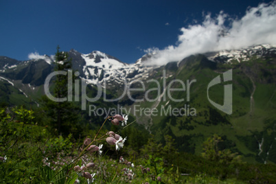 Landschaft an der Grossglockner Hochalpenstrasse, Österreich