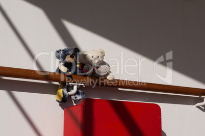 Teddies auf Kreuzfahrt