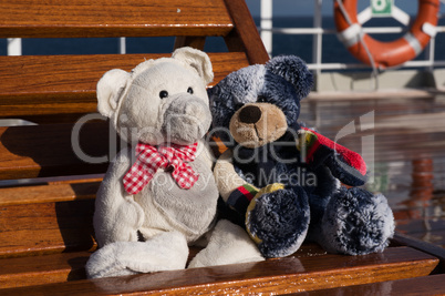 Teddies auf Kreuzfahrt