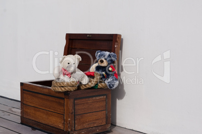 Teddies auf Kreuzfahrt