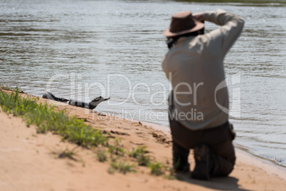 Yacare caiman on beach shot by photographer