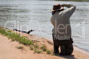 Yacare caiman on beach shot by photographer