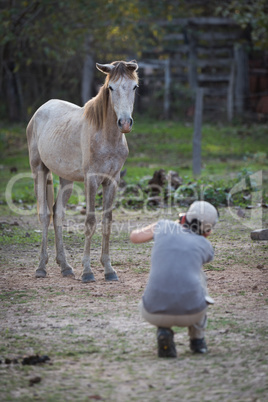 Woman squatting to take picture of horse