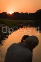 Photographer shooting yacare caiman along river bank