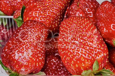 Appetizing strawberries on market stall