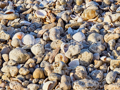 The surface of the beach shore