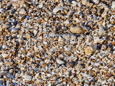 The surface of the beach shore