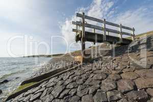 Control dock on a water luis on the island Vlieland.