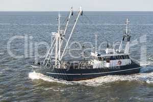 Fishing boat on Wadden Sea  .