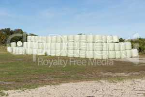 Stacked hay bales wrapped in plastic.
