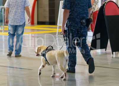 Police and sniffer dogs at the airport.
