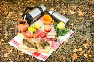 Coffee and food for a picnic in the woods