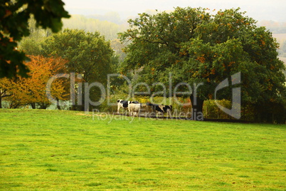 Herbst am Haarstrang