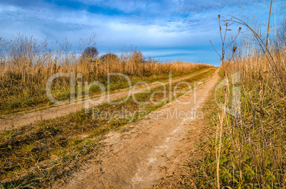 Field road in autumn