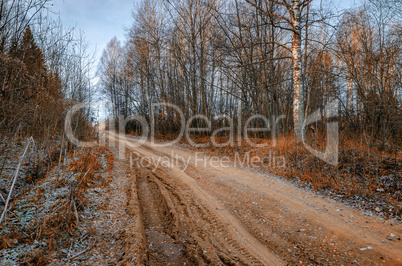 Forest road in autumn