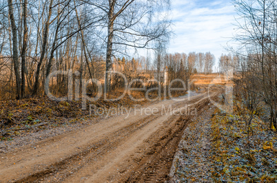 Forest road in autumn