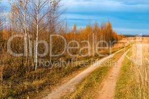 Field road in autumn