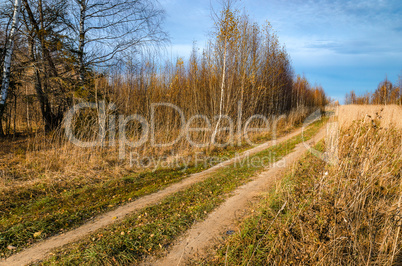 Field road in autumn