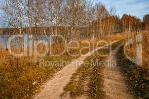 Field road in autumn