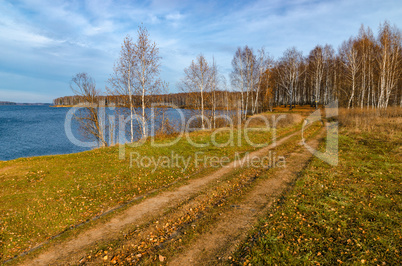 Golden autumn landscape