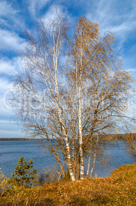 Golden autumn landscape