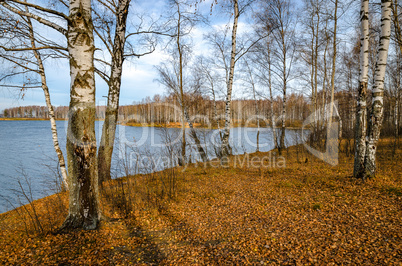 Golden autumn landscape