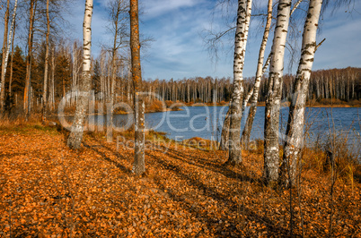 Landscape on the shore of the lake