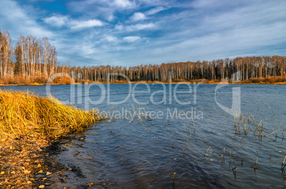 Landscape on the shore of the lake