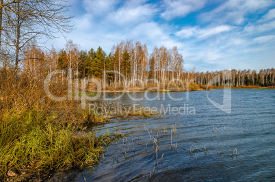 Landscape on the shore of the lake