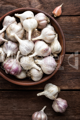 garlic