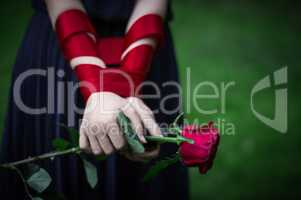 female hands holding rose