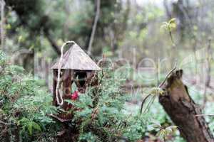 Lamp, red candle, pine branch