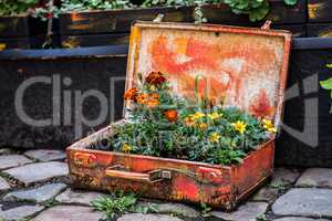 Old suitcase with flowers