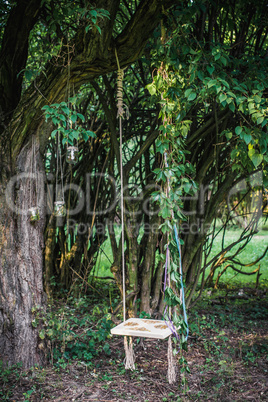 Wooden swing hanging from tree