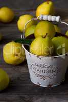 Ripe yellow pears in a metal bucket on a wooden table