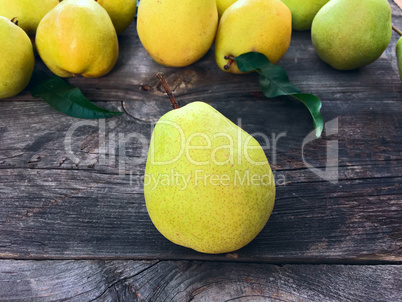 Ripe pear on a gray background pears