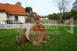 hay, straw, birds, village, chicken