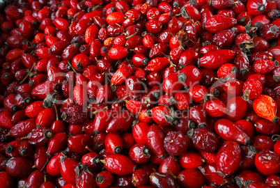 rosehips, medicinal, red, vitamin C, therapeutic