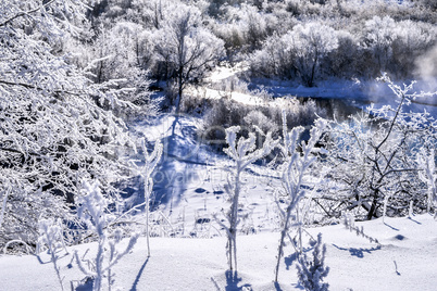 Bright winter landscape with trees in the forest at sunrise