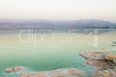 Beautiful coast of the Dead Sea .