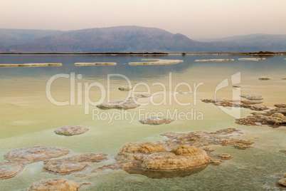 Beautiful coast of the Dead Sea .