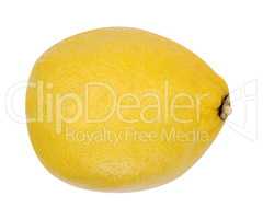 yellow raw lemon isolated