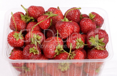 many Strawberry in plastic container