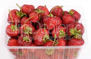 many Strawberry in plastic container