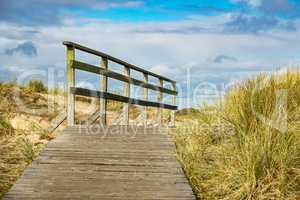 Landschaft in den Dünen auf der Insel Amrum