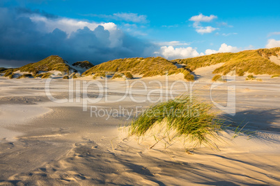 Landschaft mit Dünen auf der Insel Amrum